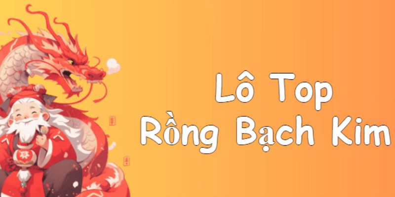 Tổng quan về Lô Top Rồng Bạch Kim 