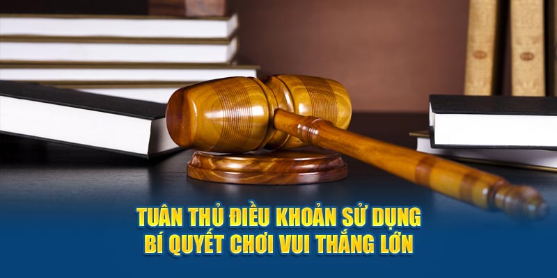 Điều khoản khi người chơi sử dụng tài khoản chơi cá cược